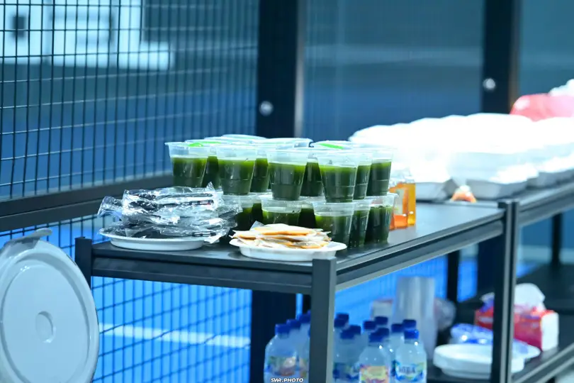 Snacks laid out for an event
